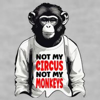 Funny Not My C.ircus Not My Monkeys Weird Fun Sayings Ladies PosiCharge Tri-Blend Wicking Tank