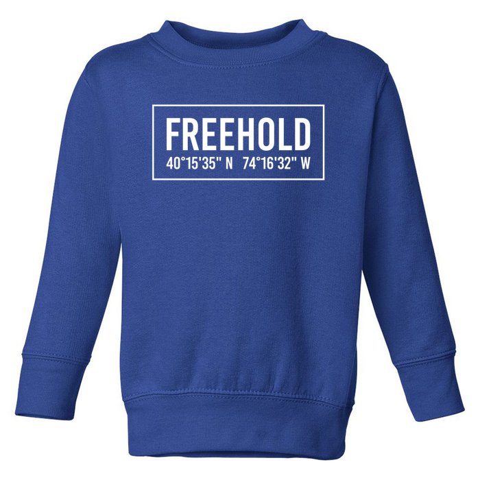 Freehold Nj New Jersey Funny City Coordinates Home Gift Cute Gift Toddler Sweatshirt