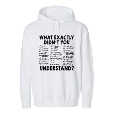 Funny Nurse Nurse Shorthand Nurse Acronyms Nursing School Gift Garment-Dyed Fleece Hoodie