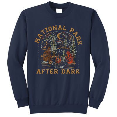 Funny National Park After Dark Sweatshirt