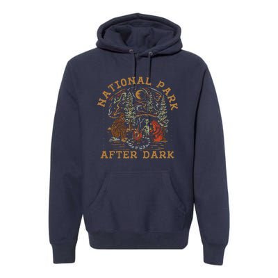 Funny National Park After Dark Premium Hoodie