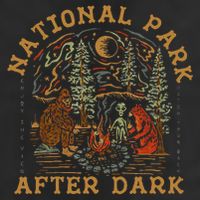 Funny National Park After Dark Gift 7 Panel Mesh Trucker Snapback Hat