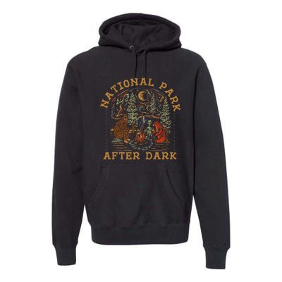 Funny National Park After Dark Gift Premium Hoodie