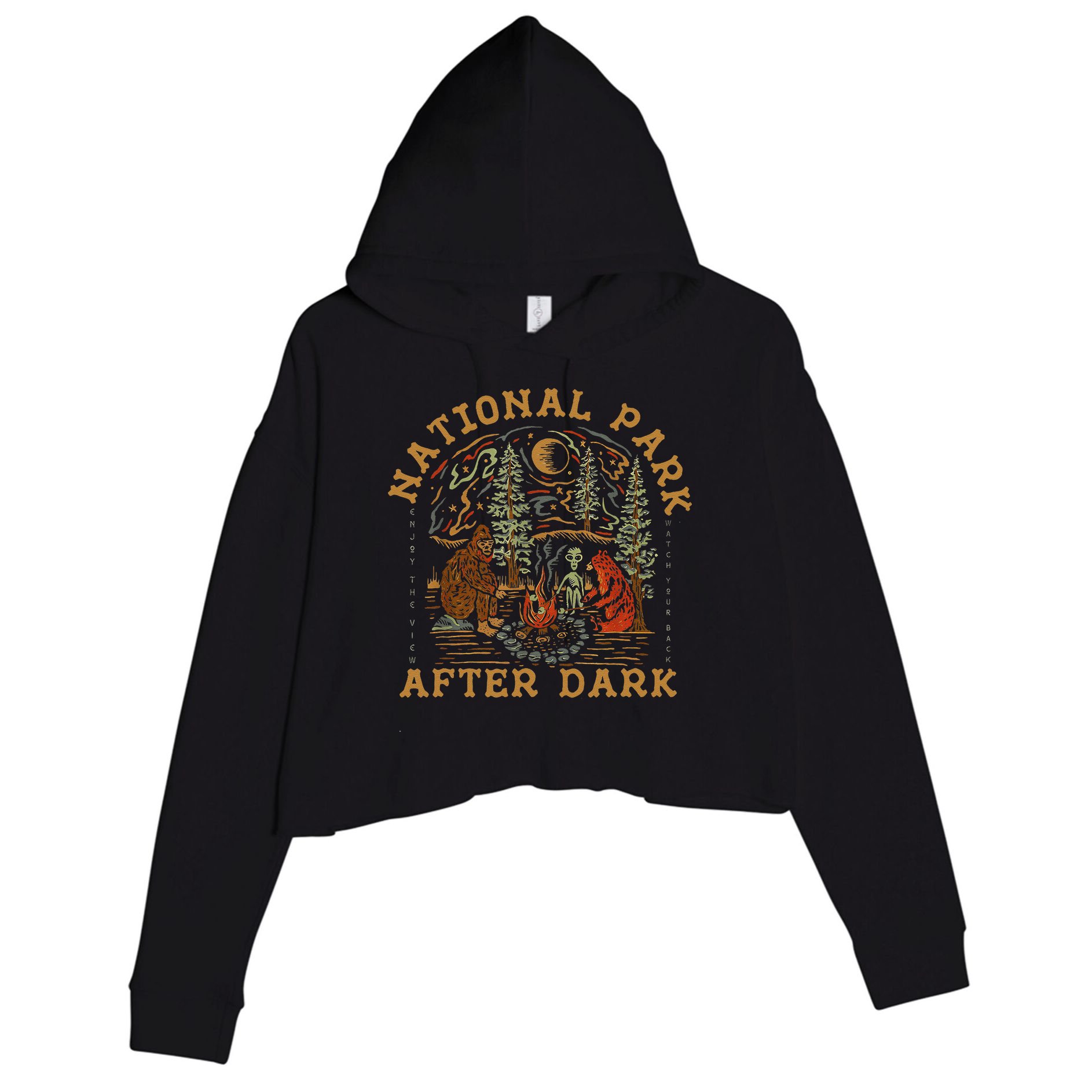 Funny National Park After Dark Gift Crop Fleece Hoodie