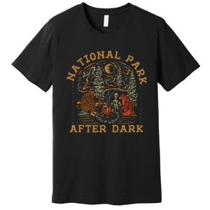 Funny National Park After Dark Gift Premium T-Shirt