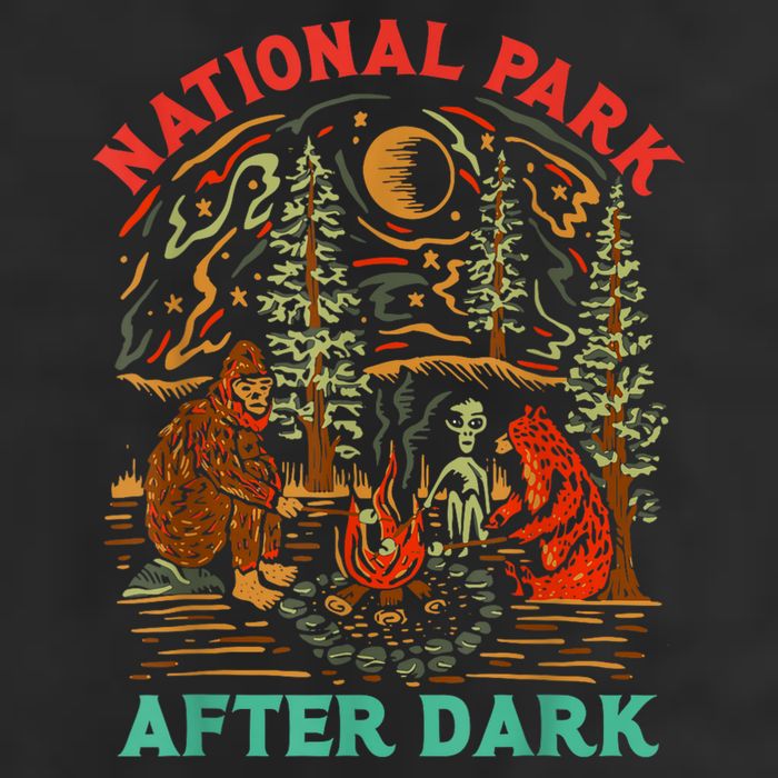 Funny National Park After Dark 7 Panel Mesh Trucker Snapback Hat