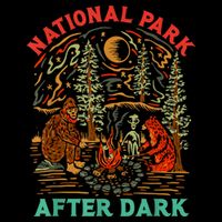 Funny National Park After Dark Cooling Performance Crew T-Shirt