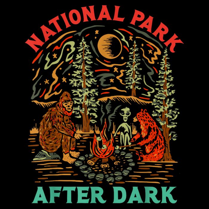 Funny National Park After Dark City Backpack