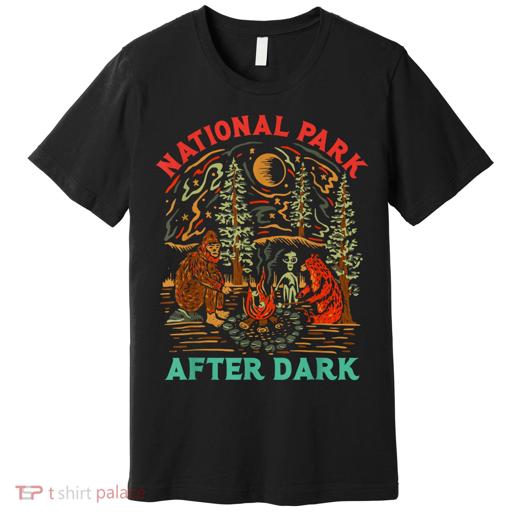 Funny National Park After Dark Premium T-Shirt