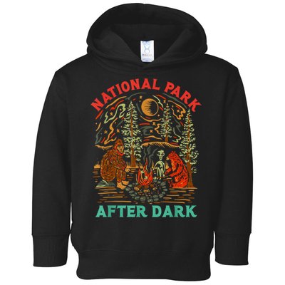 Funny National Park After Dark Toddler Hoodie