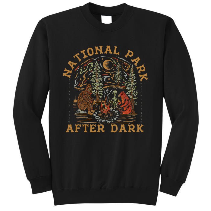 Funny National Park After Dark Adventure Sweatshirt