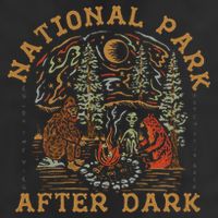 Funny National Park After Dark Adventure Adult Drive Performance Visor