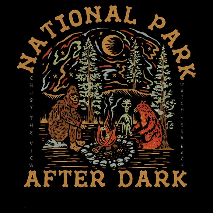 Funny National Park After Dark Adventure Toddler T-Shirt