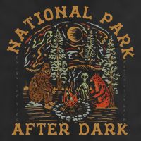 Funny National Park After Dark 7 Panel Mesh Trucker Snapback Hat