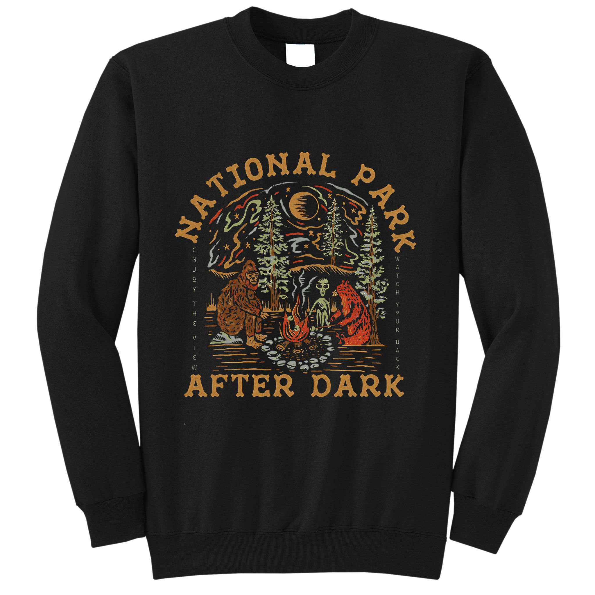 Funny National Park After Dark Sweatshirt
