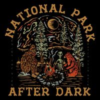 Funny National Park After Dark T-Shirt