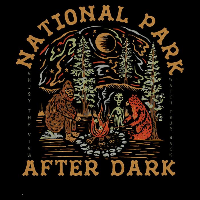 Funny National Park After Dark Poster