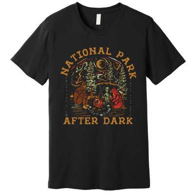 Funny National Park After Dark Premium T-Shirt