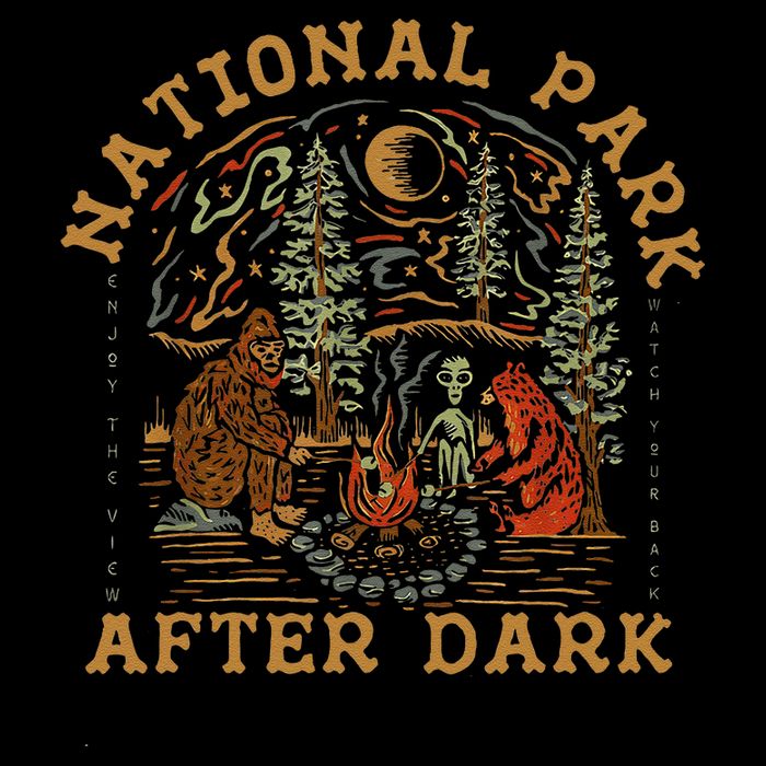 Funny National Park After Dark Impact Tech Backpack