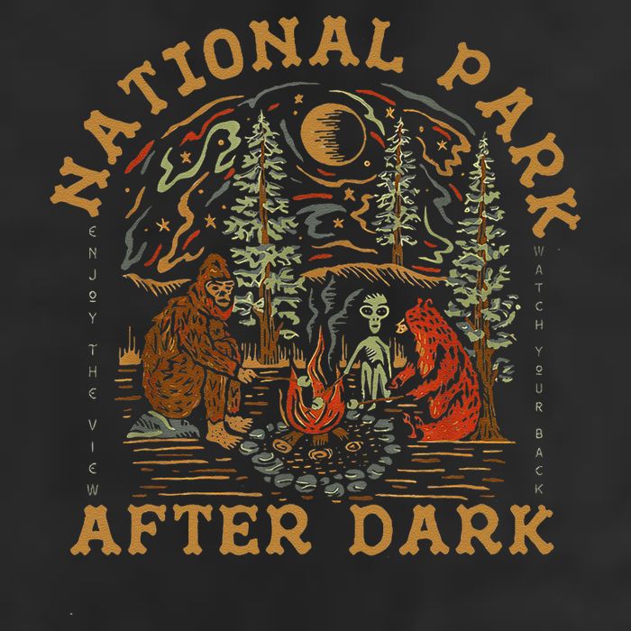 Funny National Park After Dark 11oz C Handle Ceramic Mug