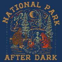 Funny National Park After Dark Cool Comfort Performance Bucket Hat