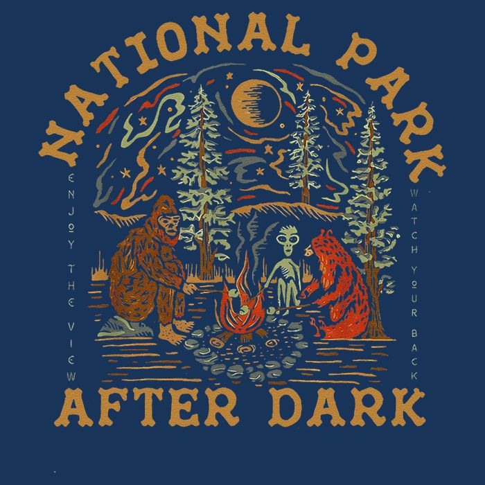 Funny National Park After Dark Cool Comfort Performance Bucket Hat