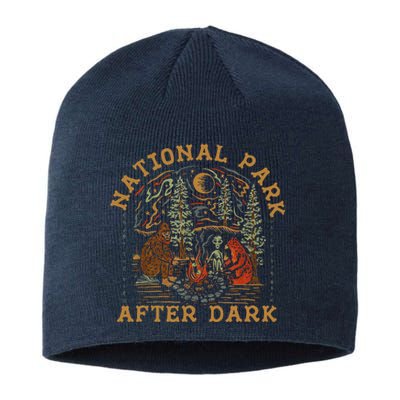 Funny National Park After Dark Sustainable Beanie