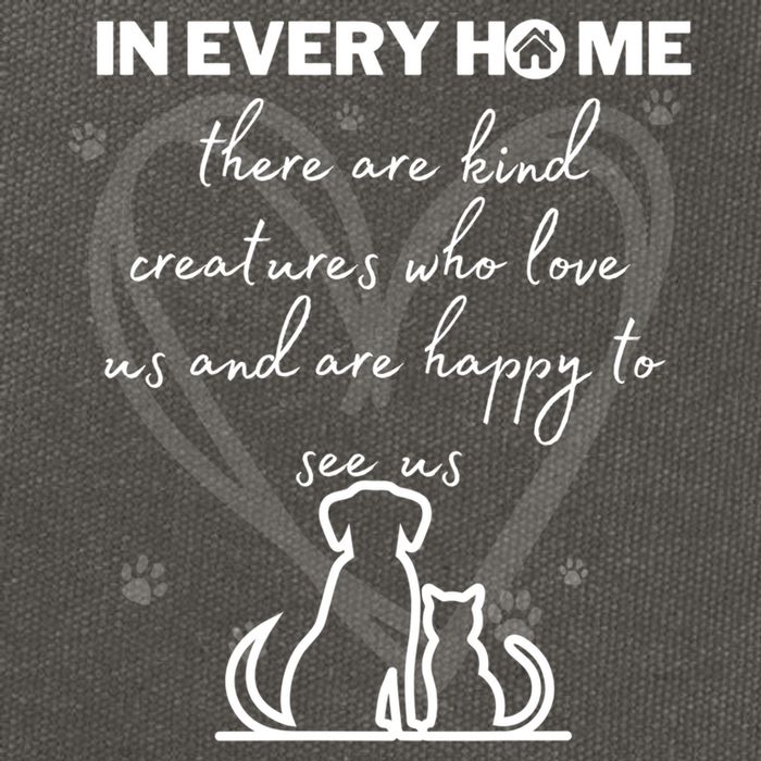 Funny National Pet Day Quote Dog And Cat National Pet Day Gift Cotton Canvas Backpack