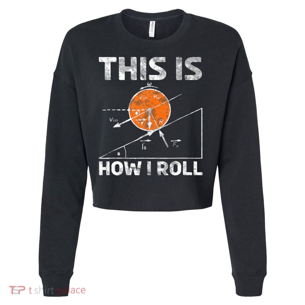 Funny Nerdy Physics Teachers Cropped Pullover Crew