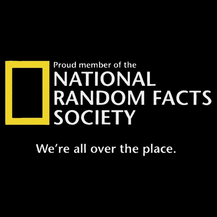 Funny National Random Facts Society For Odd Memory People Sustainable Bucket Hat
