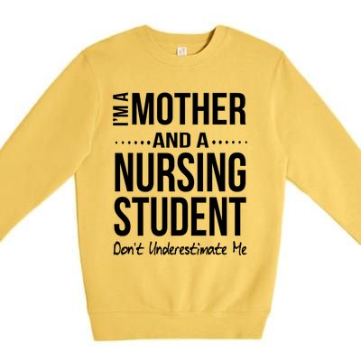 Funny Nursing Student Mom Nursing School Future Nurse Gift Premium Crewneck Sweatshirt