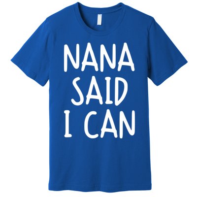 Funny Nana Said I Can Favorite Grand Funny Gift Premium T-Shirt