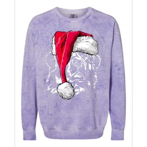 Funny Newfoundland Santa Dog Christmas Gift Colorblast Crewneck Sweatshirt