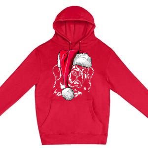 Funny Newfoundland Santa Dog Christmas Gift Premium Pullover Hoodie