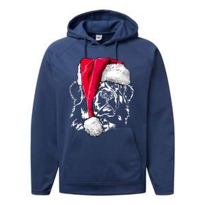 Funny Newfoundland Santa Dog Christmas Gift Performance Fleece Hoodie