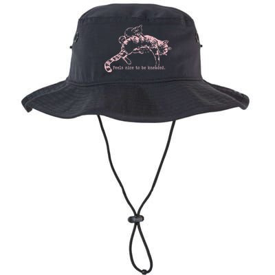 Feels Nice To Be Kneaded Cat Mom And Son Kitten Motherhood Bucket Hat