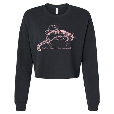 Feels Nice To Be Kneaded Cat Mom And Son Kitten Motherhood Cropped Pullover Crew