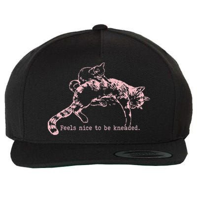 Feels Nice To Be Kneaded Cat Mom And Son Kitten Motherhood Wool Snapback Cap
