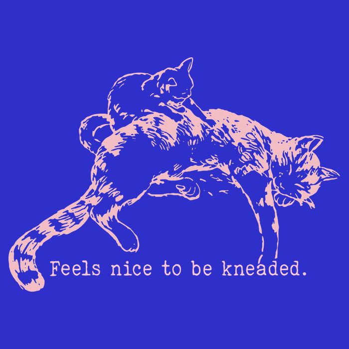 Feels Nice To Be Kneaded Cat Mom And Son Kitten Motherhood Tall T-Shirt