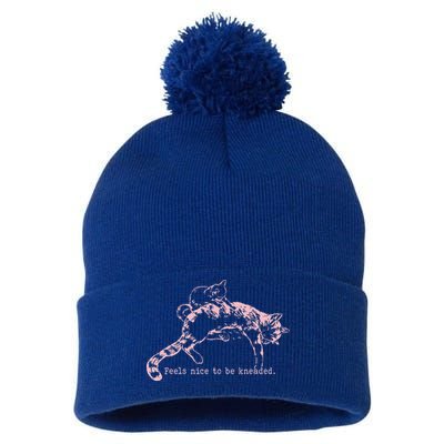 Feels Nice To Be Kneaded Cat Mom And Son Kitten Motherhood Pom Pom 12in Knit Beanie