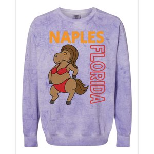 Funny Naples Vacation Family Trip Cool Gift Colorblast Crewneck Sweatshirt