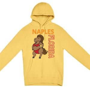 Funny Naples Vacation Family Trip Cool Gift Premium Pullover Hoodie