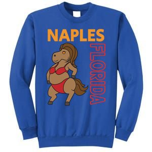 Funny Naples Vacation Family Trip Cool Gift Sweatshirt