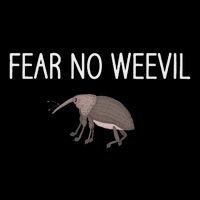 Fear No Weevil Funny Jokes Bugs Entomology Sarcastic Flexfit Unipanel Trucker Cap