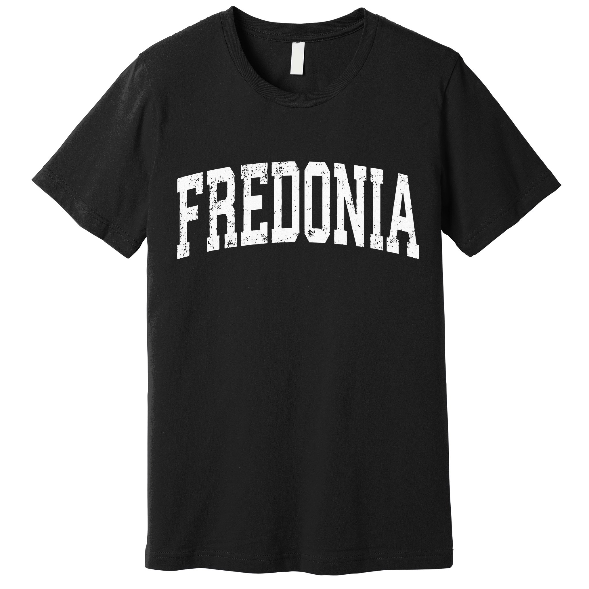 Fredonia New York Ny Vintage Athletic Sports Design Premium T-Shirt