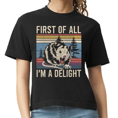 First Of All I’M A Delight Sarcastic Angry Opossum Possum Comfort Colors Boxy T-Shirt