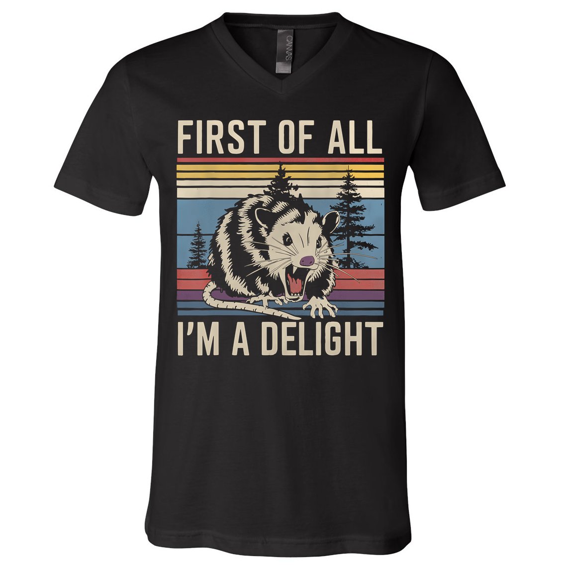 First Of All I’M A Delight Sarcastic Angry Opossum Possum V-Neck T-Shirt