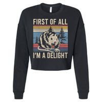 First Of All I’M A Delight Sarcastic Angry Opossum Possum Cropped Pullover Crew