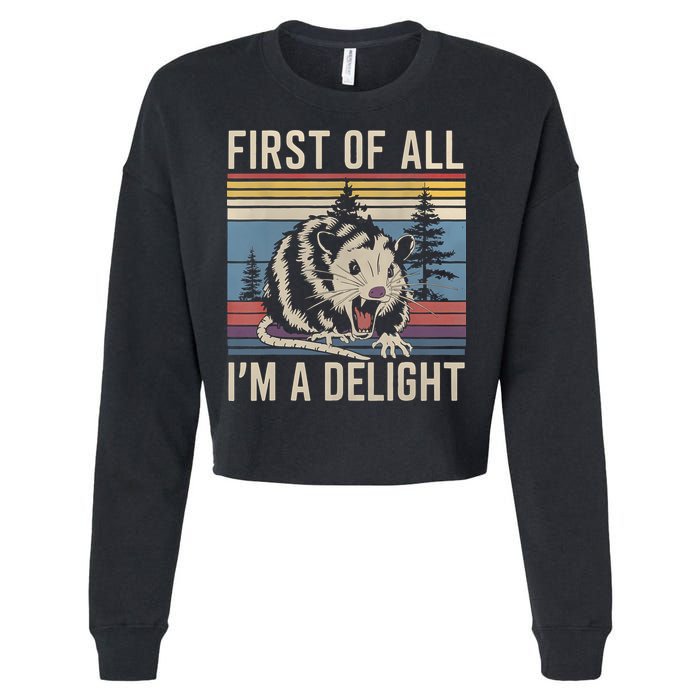 First Of All I’M A Delight Sarcastic Angry Opossum Possum Cropped Pullover Crew
