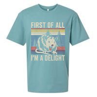 First Of All I’M A Delight Sarcastic Angry Opossum Possum Sueded Cloud Jersey T-Shirt